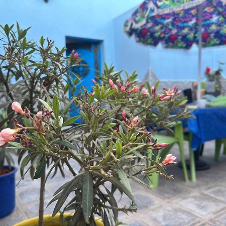 Casa Morisca Villa Sidi Ifni Eksteriør billede