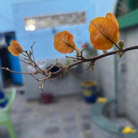 Casa Morisca Villa Sidi Ifni Eksteriør billede