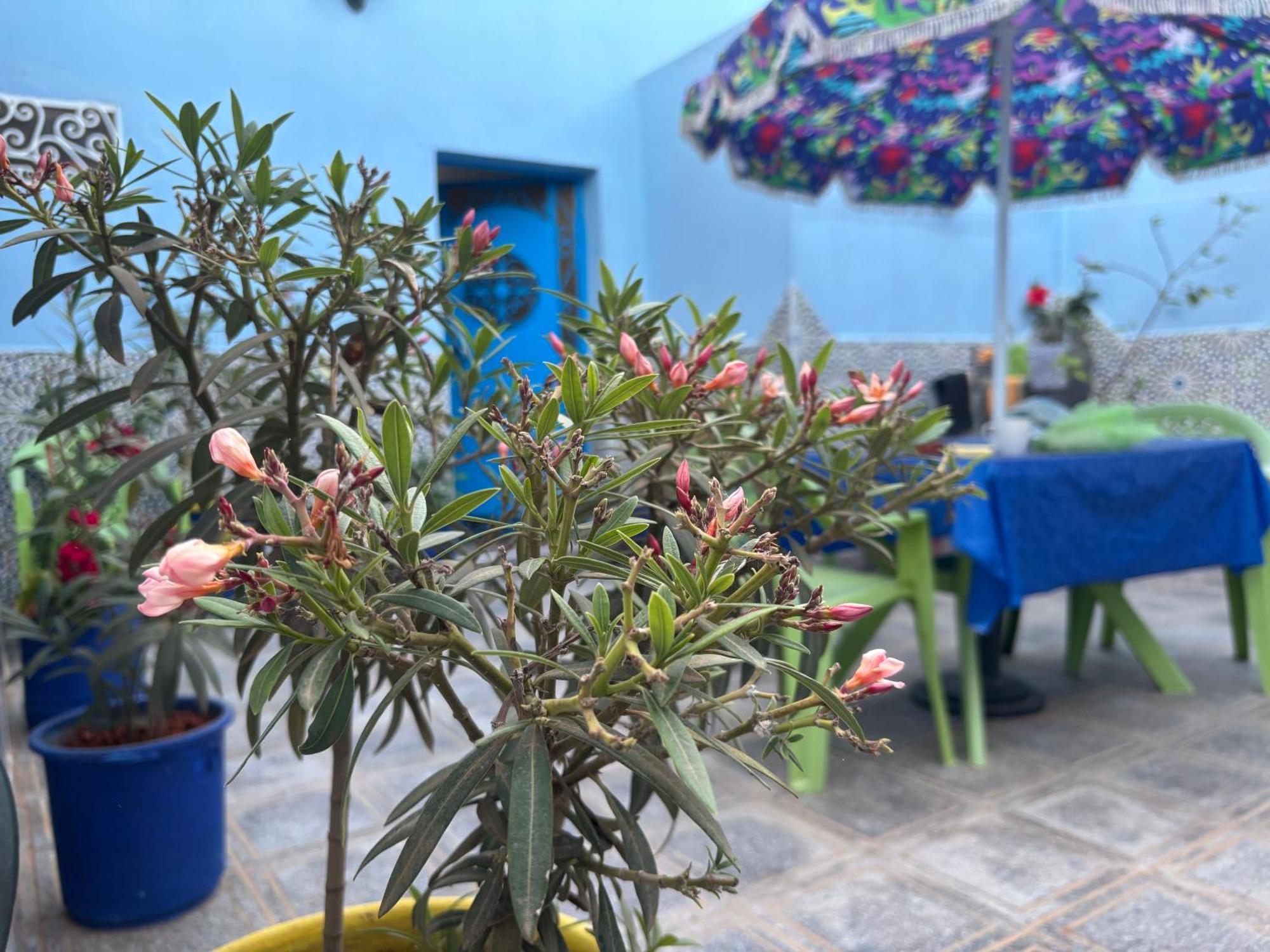 Casa Morisca Villa Sidi Ifni Eksteriør billede