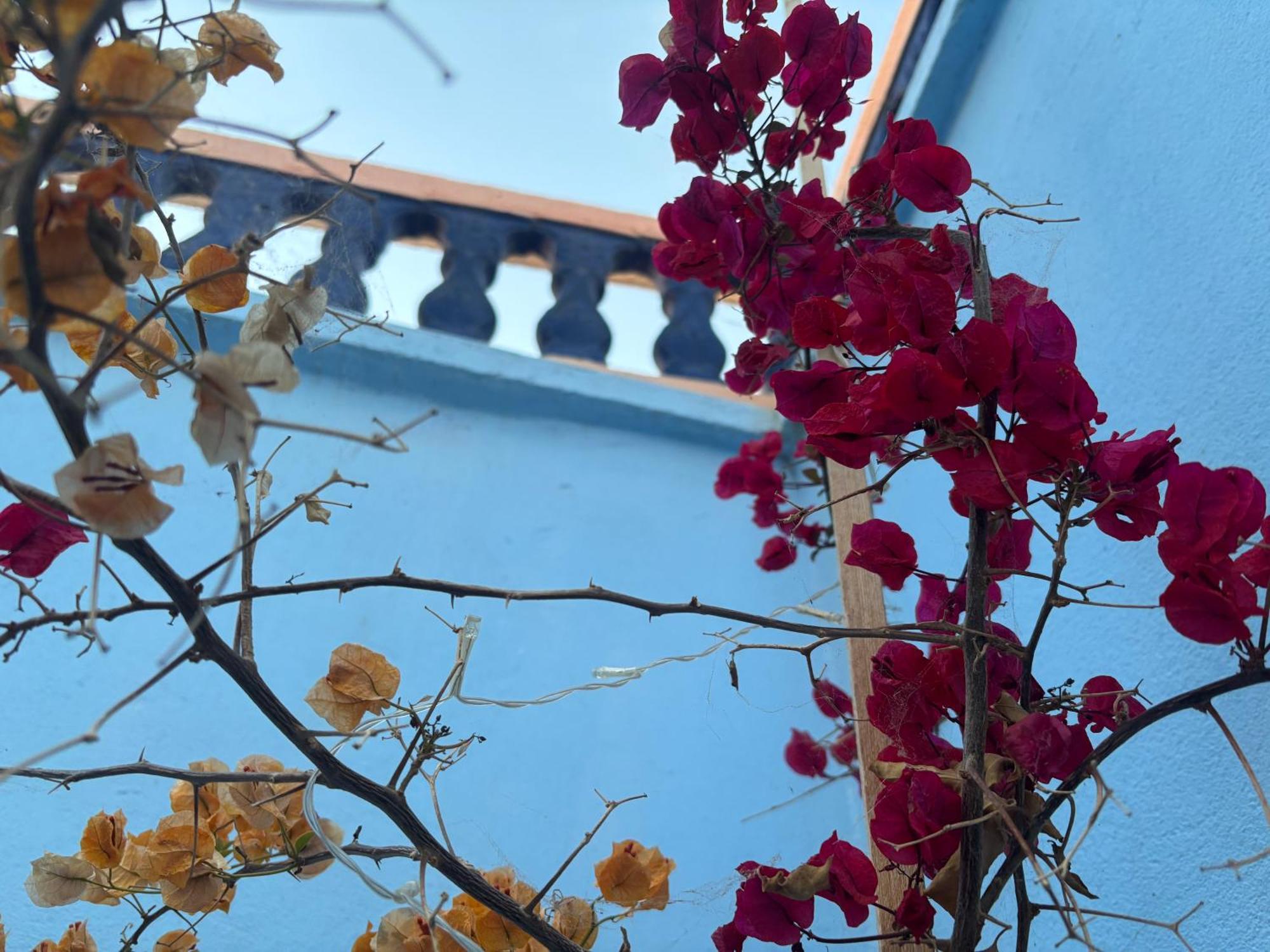 Casa Morisca Villa Sidi Ifni Eksteriør billede